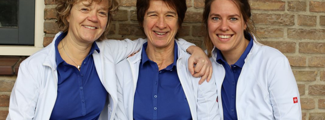 bekkenfysiotherapie Vivi Lafeber, Pleun Stronkhorst Marieke Meeuwis